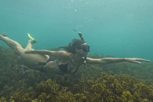 Boat Ride & Snorkeling